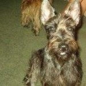 Meet your Posher, Paul